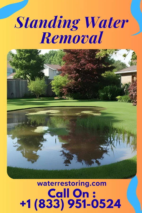 Standing Water Removal in San Castle, FL